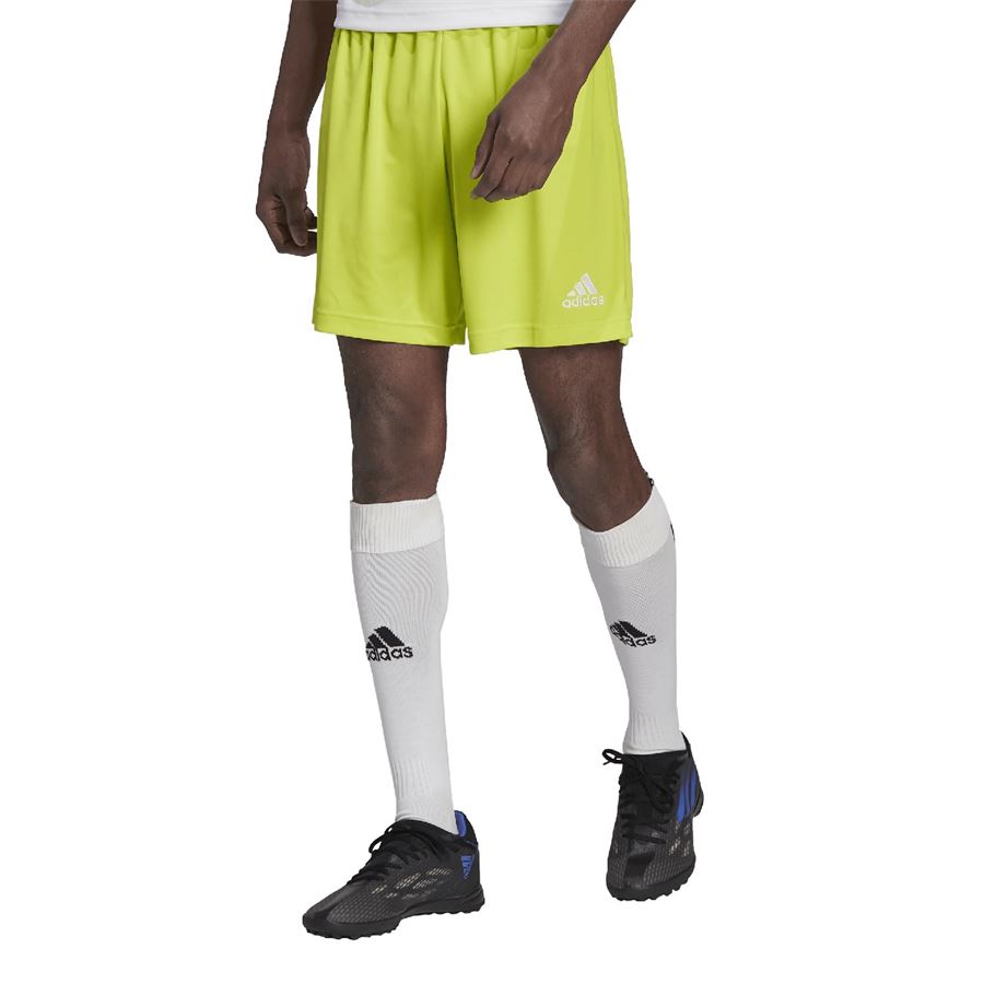 ENT22 SHORT Adidas | HC5061X